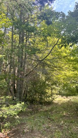 99 Stone Ridge Road Garland ME 04939