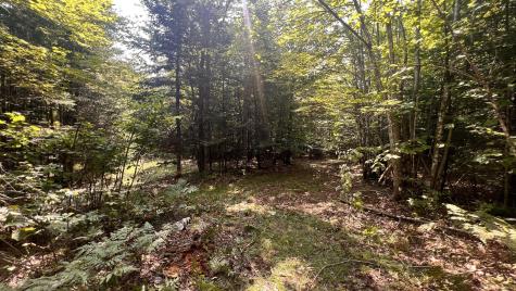 99 Stone Ridge Road Garland ME 04939