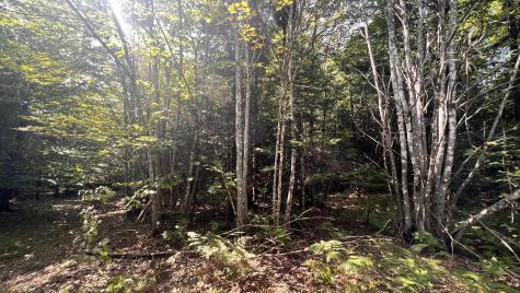 99 Stone Ridge Road Garland ME 04939