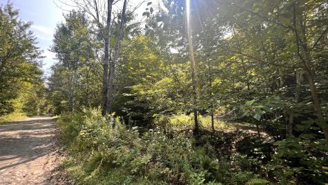 99 Stone Ridge Road Garland ME 04939