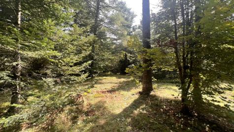 99 Stone Ridge Road Garland ME 04939