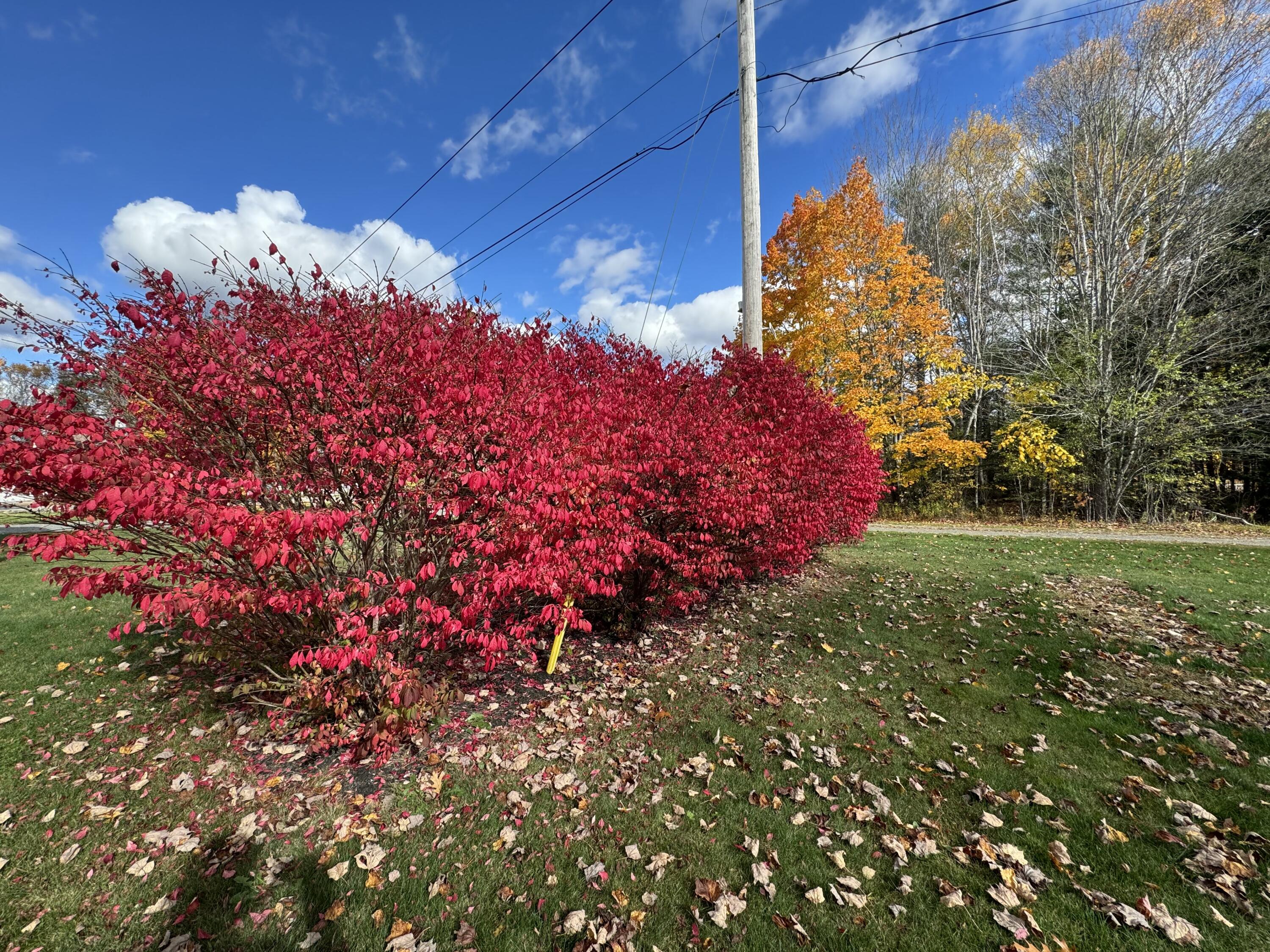 7 Ellingwood Drive Glenburn ME 04401