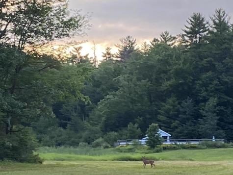 1382 Meetinghouse Road Wells ME 04090