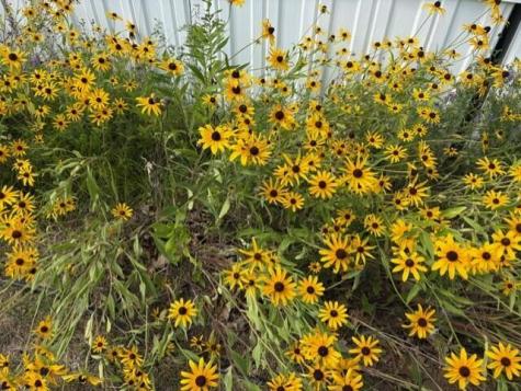 18 Heather Lane Alfred ME 04002