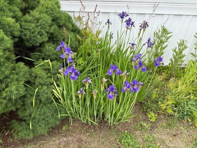 18 Heather Lane Alfred ME 04002