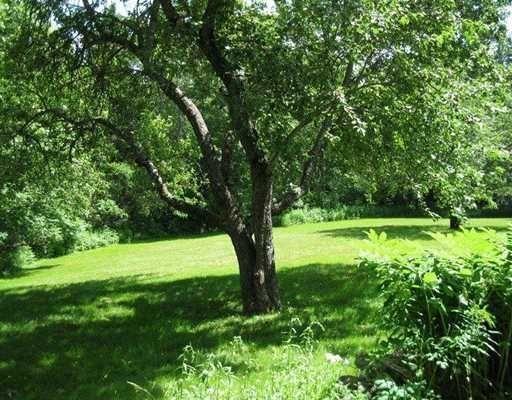 97 Ellsworth Road Blue Hill ME 04614