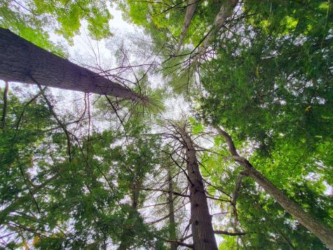 14 Ames Road Industry ME 04938