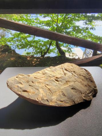 14 Ames Road Industry ME 04938