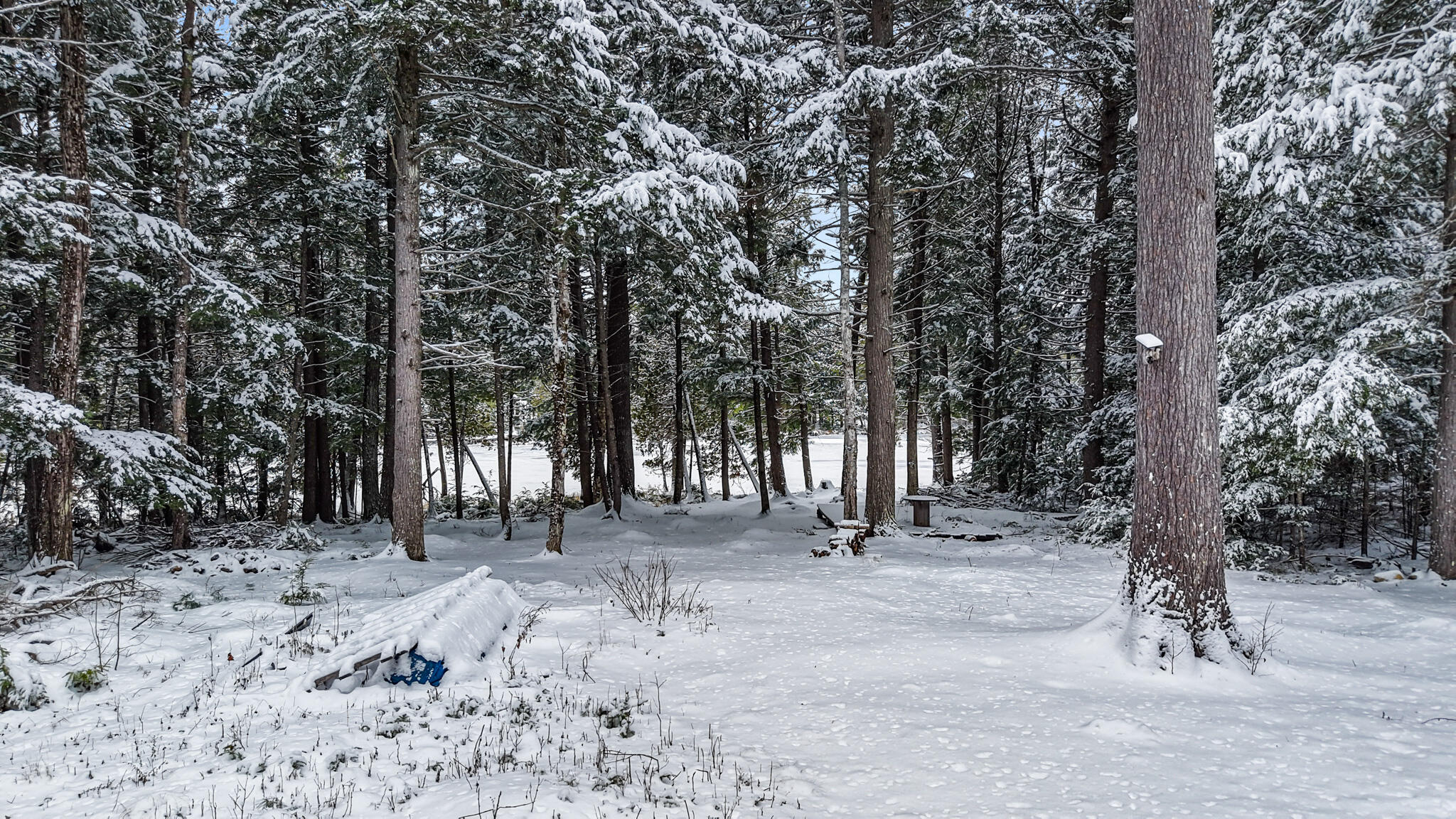 124 Dead Stream Road Lincoln ME 04457