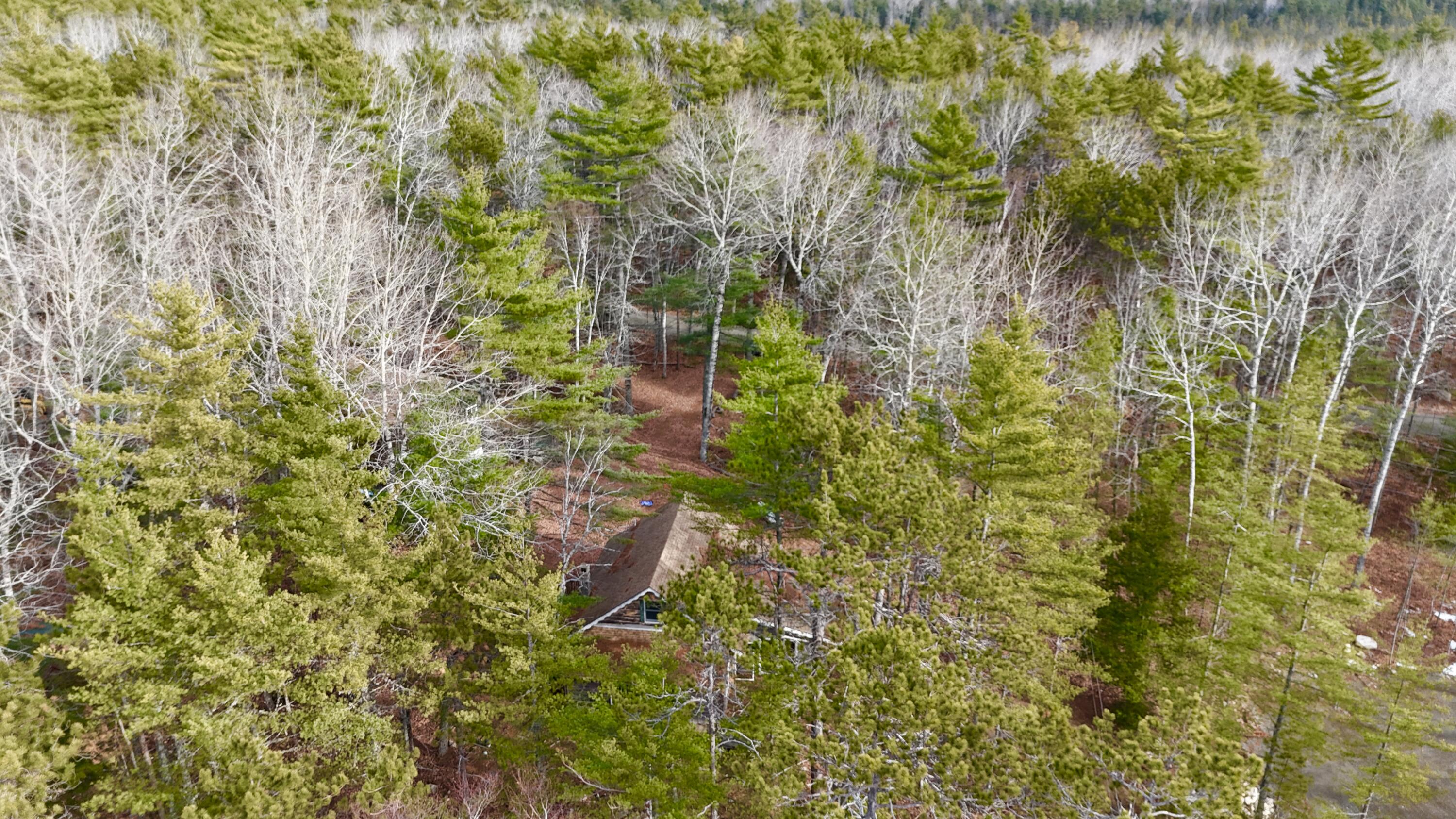 Grand Lake Stream Plt ME, 422 Bonney Brook Road