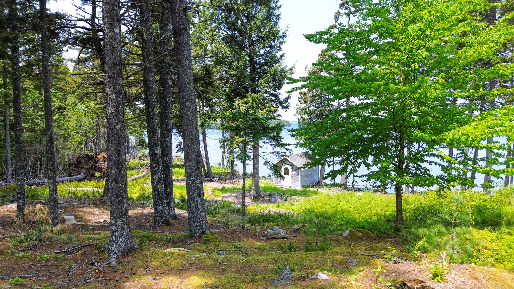 21 Jung Road East Machias ME 04630