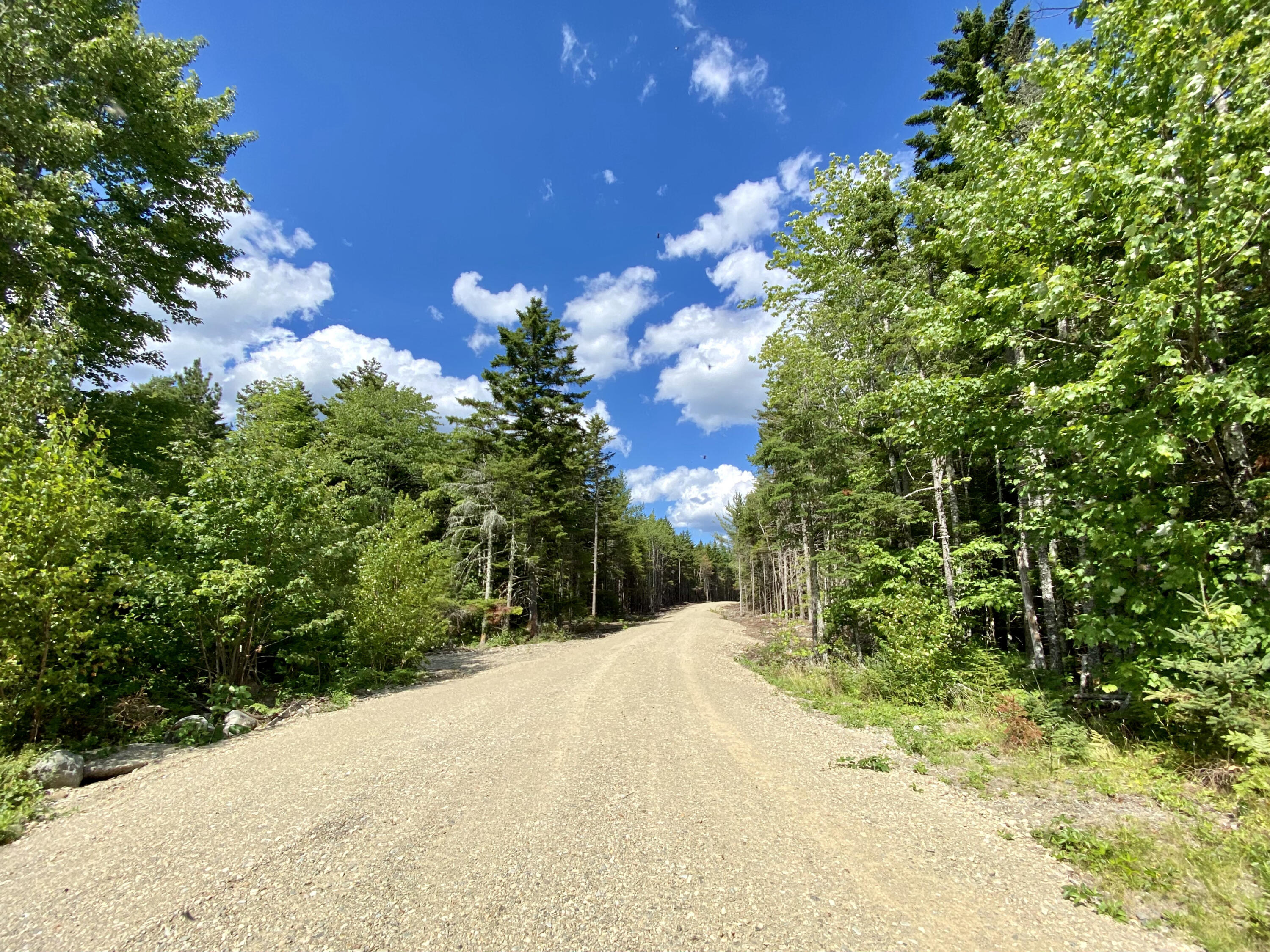 50 Green Lane Charlotte ME 04666