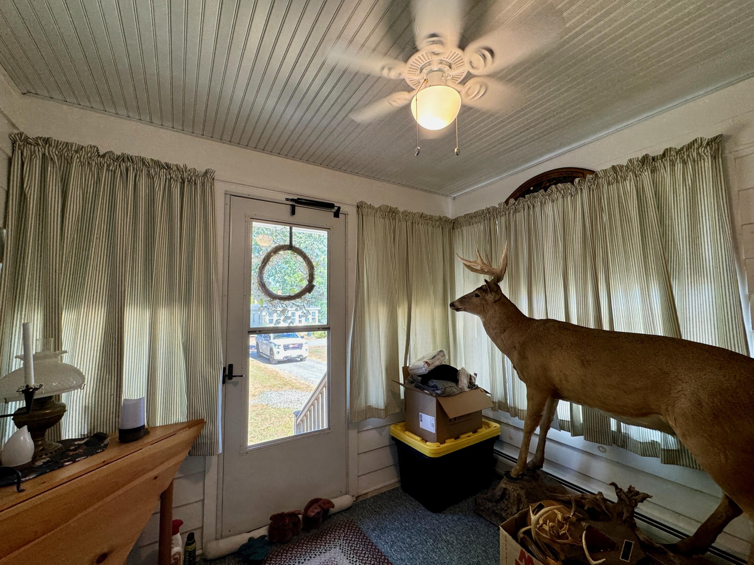 35 Meulendyk Avenue Brownville ME 04414