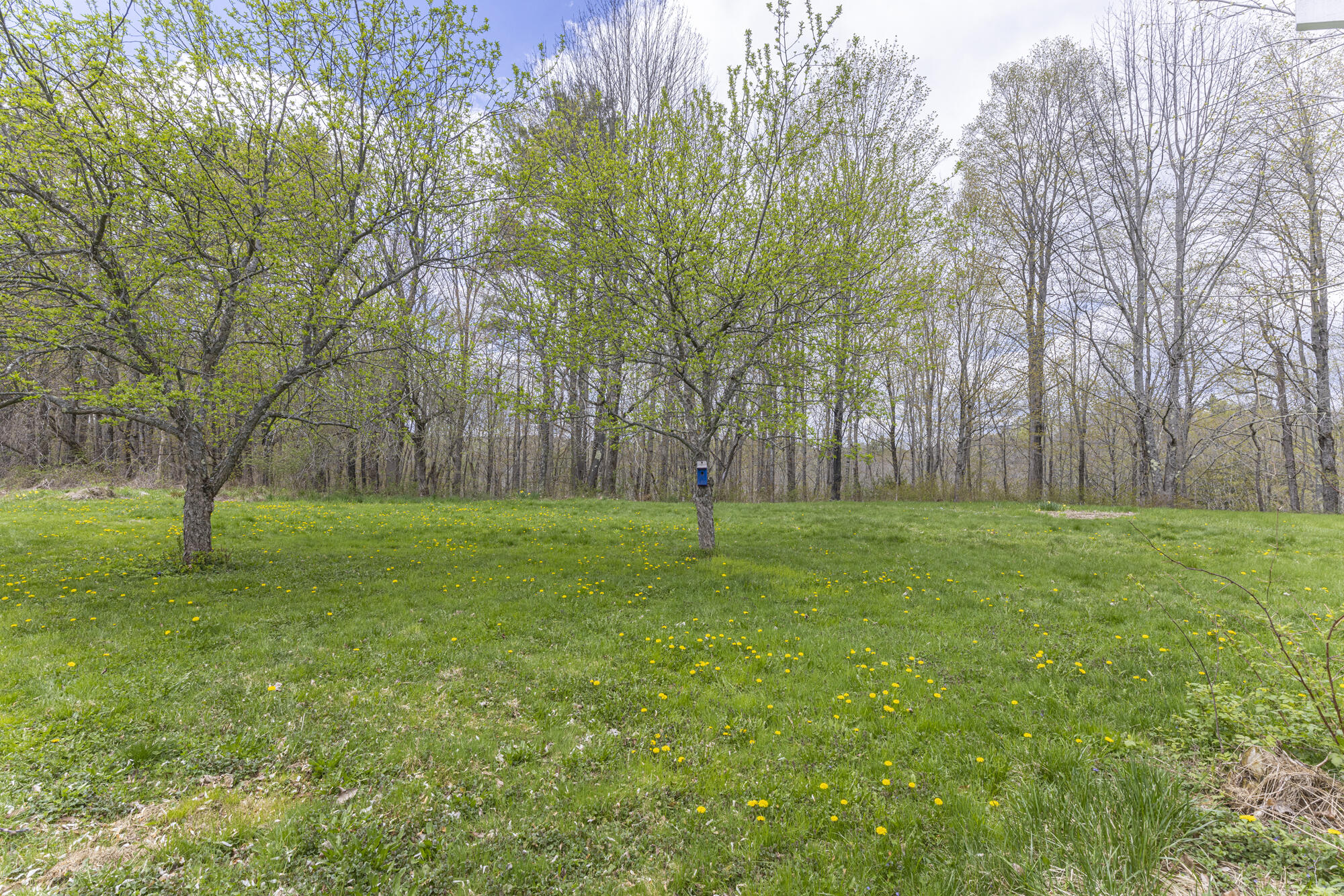 38 Field Road Cumberland ME 04021
