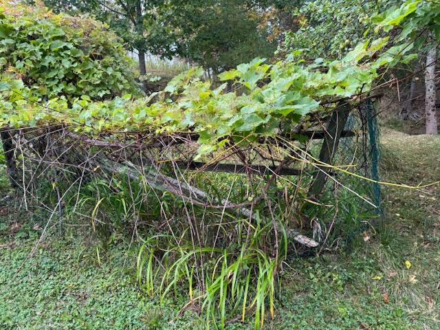 352 Bayview Road Penobscot ME 04476