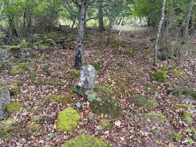 352 Bayview Road Penobscot ME 04476