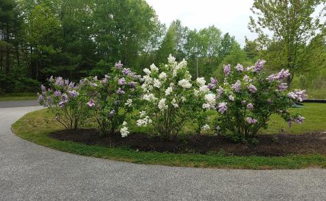 6 Sterling Drive Windham ME 04062