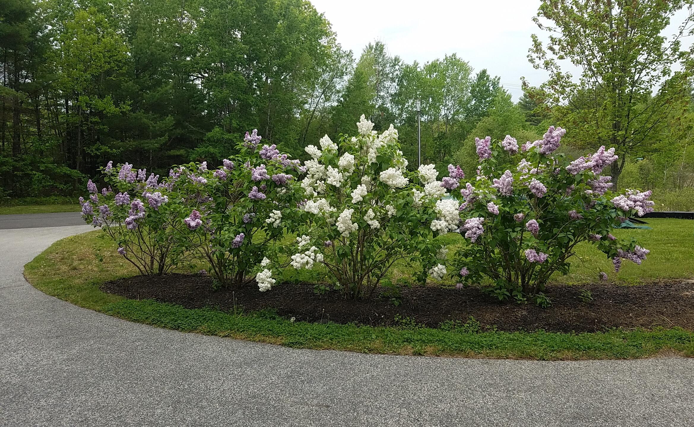 6 Sterling Drive Windham ME 04062