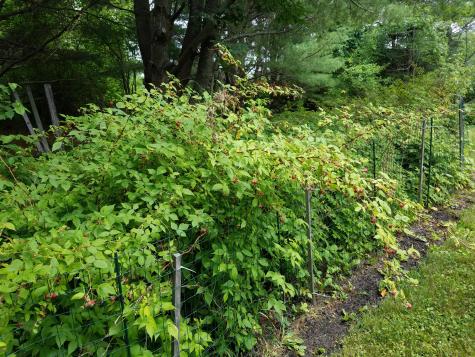 6 Sterling Drive Windham ME 04062