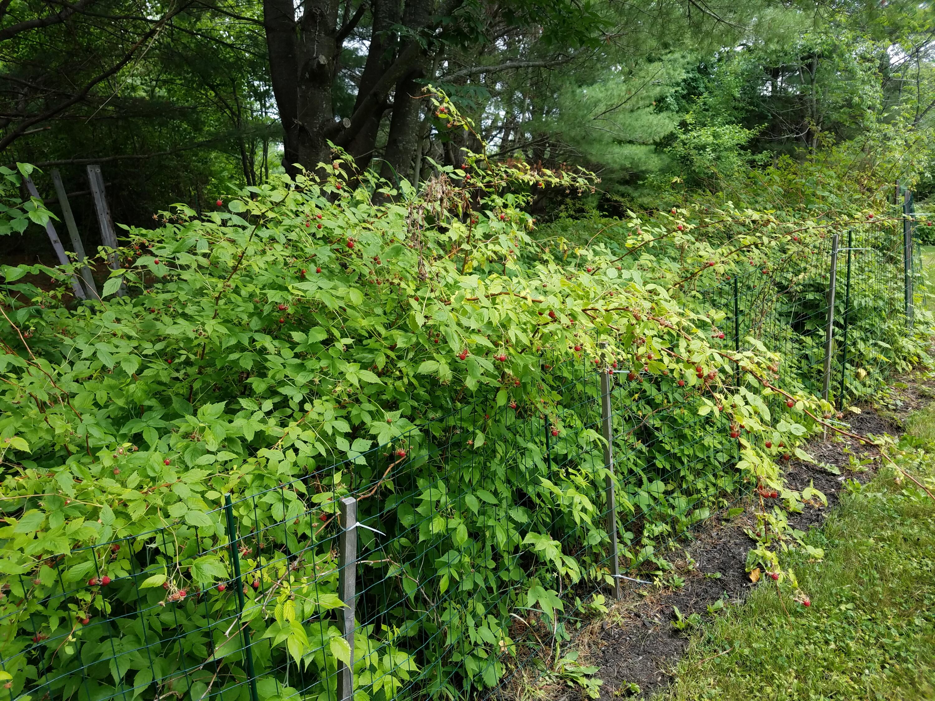 6 Sterling Drive Windham ME 04062