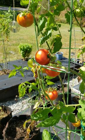 6 Sterling Drive Windham ME 04062