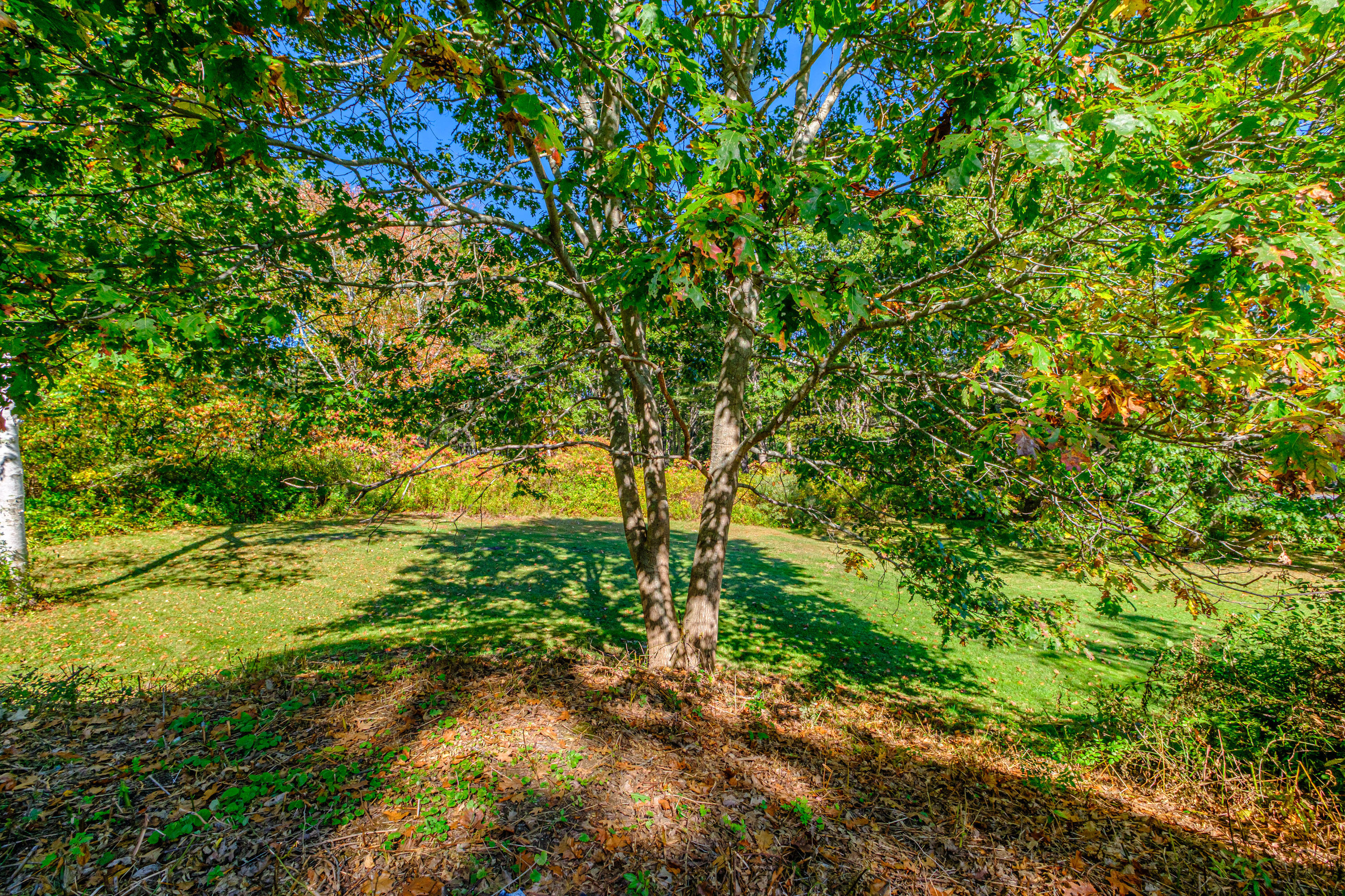 495 Ocean House Road Cape Elizabeth ME 04107