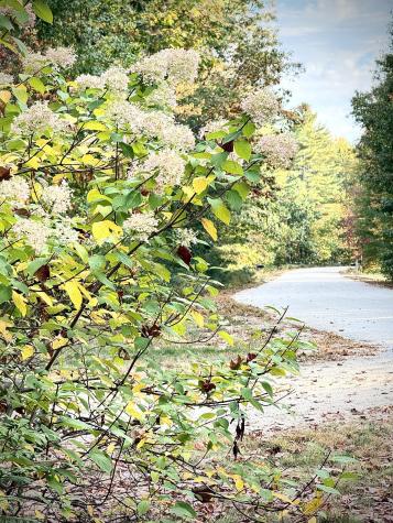 79 Beaulieu Drive Lyman ME 04002