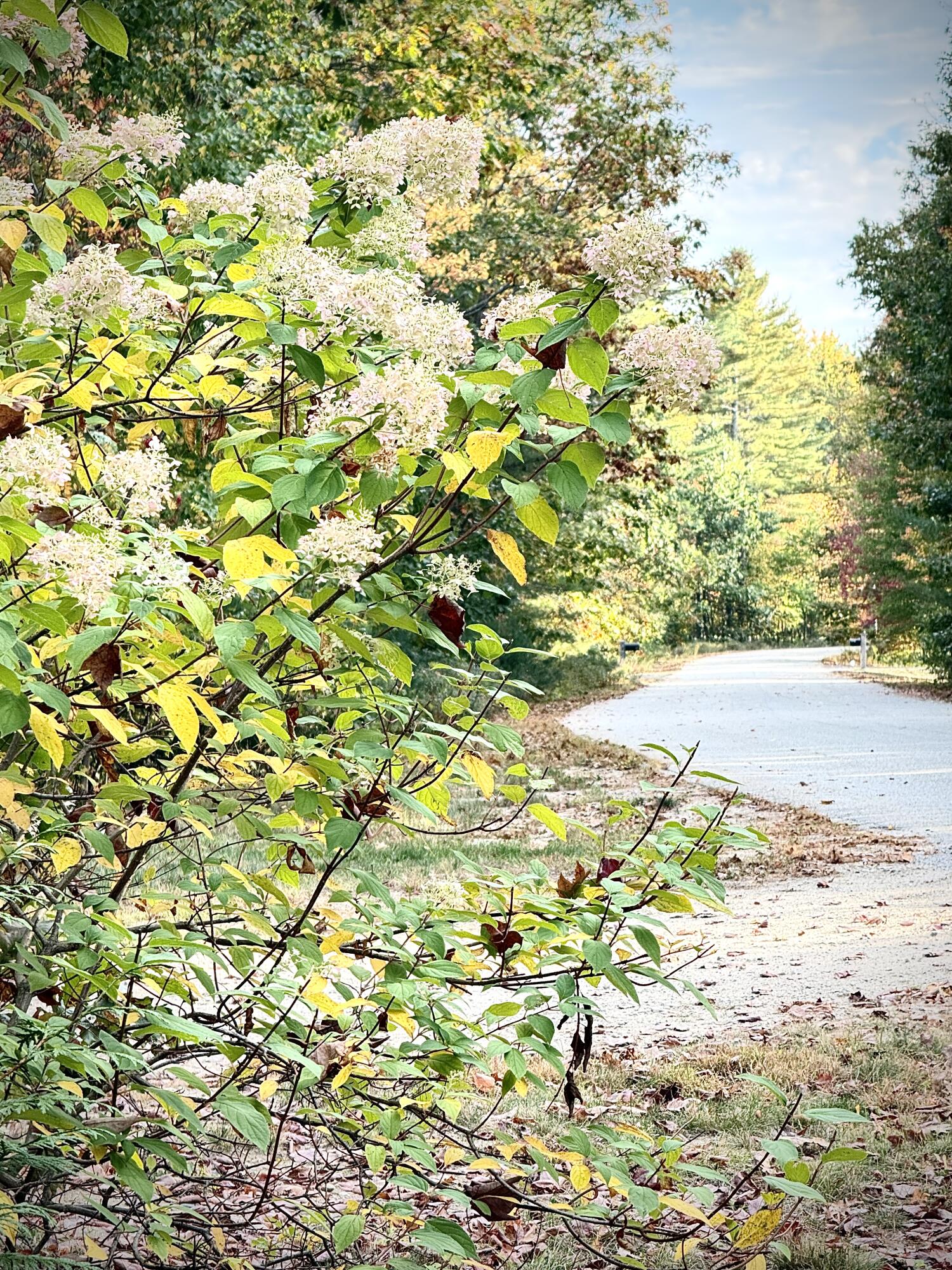 79 Beaulieu Drive Lyman ME 04002