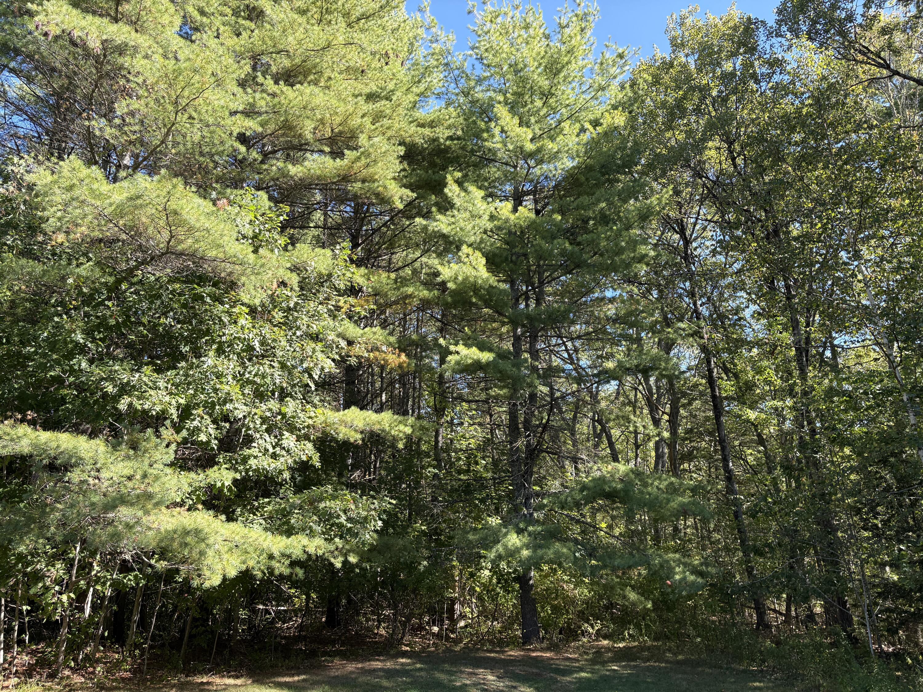 752 Bristol Road Bristol ME 04539