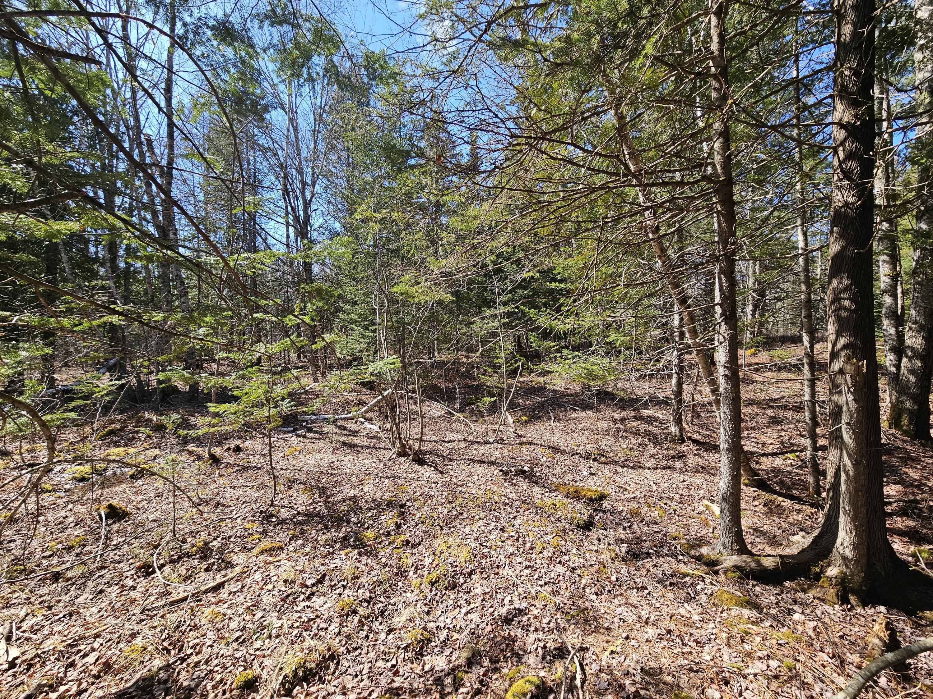 83 Willey District Road Harrington ME 04643