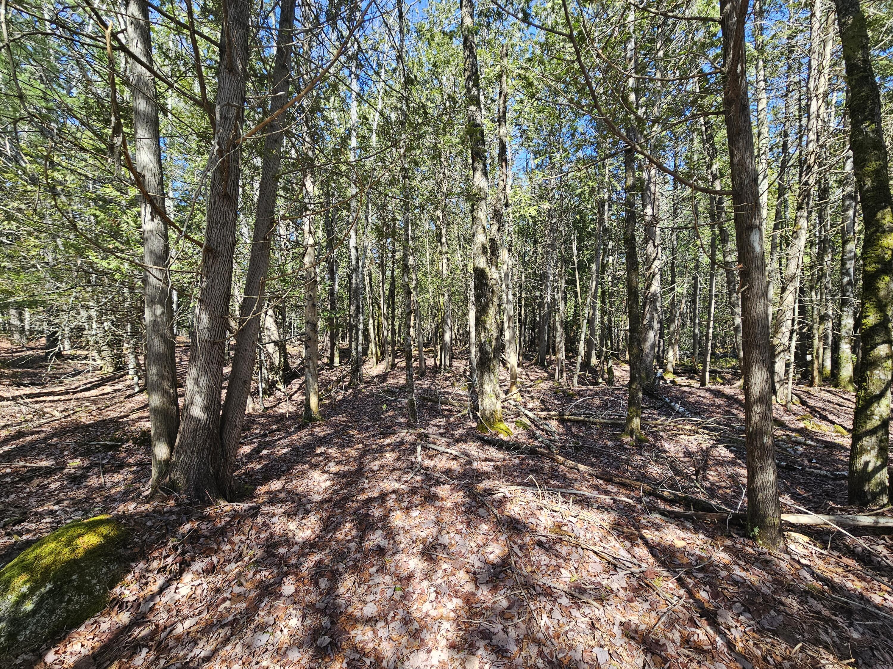 83 Willey District Road Harrington ME 04643