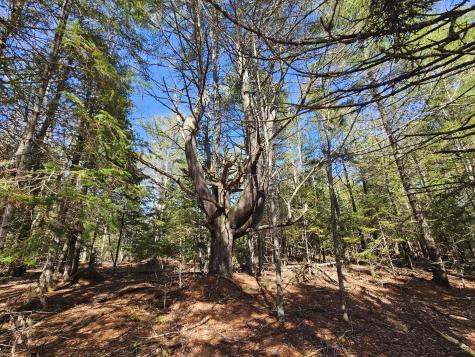 83 Willey District Road Harrington ME 04643