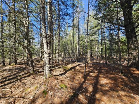 83 Willey District Road Harrington ME 04643