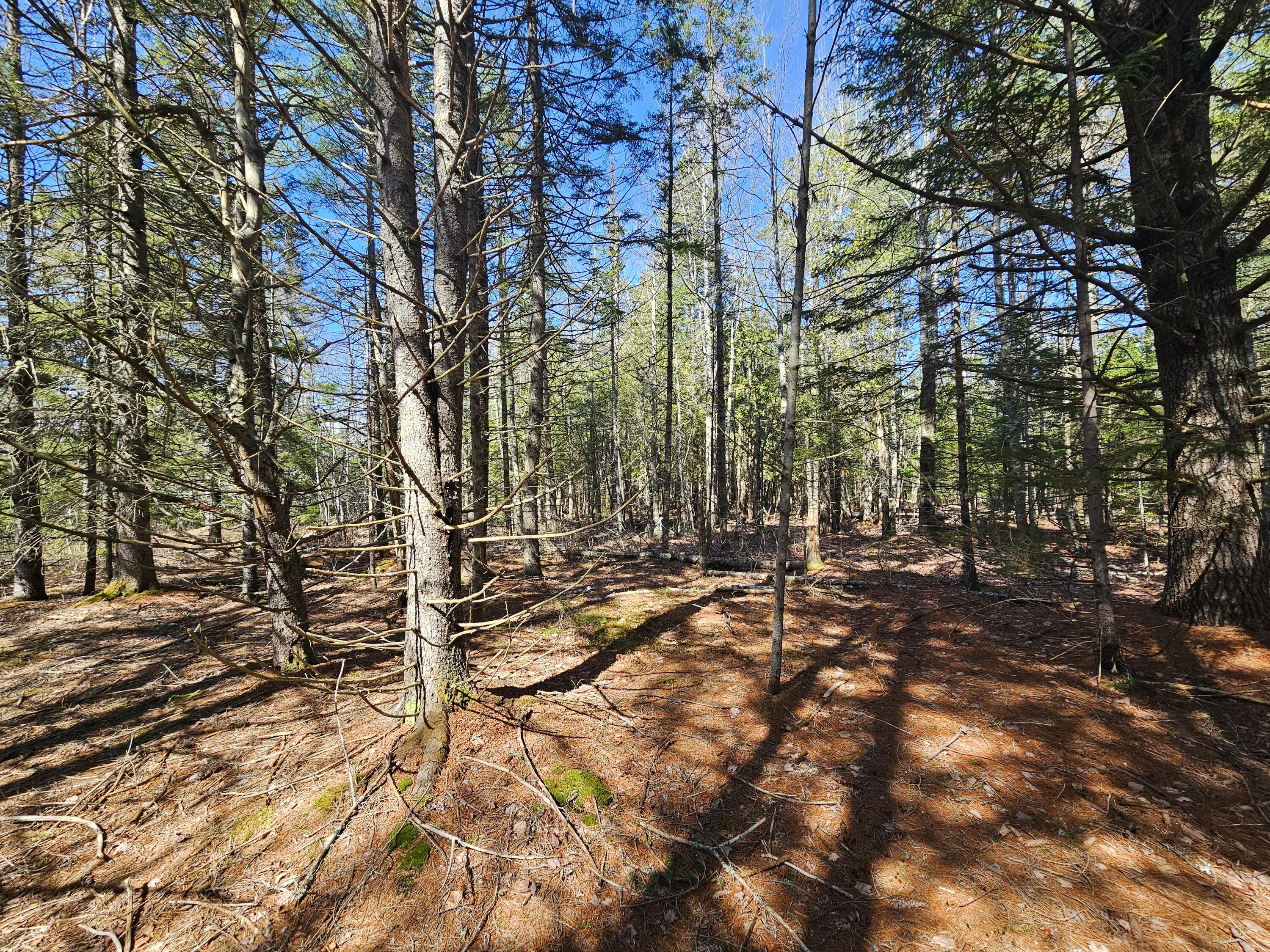83 Willey District Road Harrington ME 04643