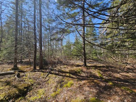 83 Willey District Road Harrington ME 04643