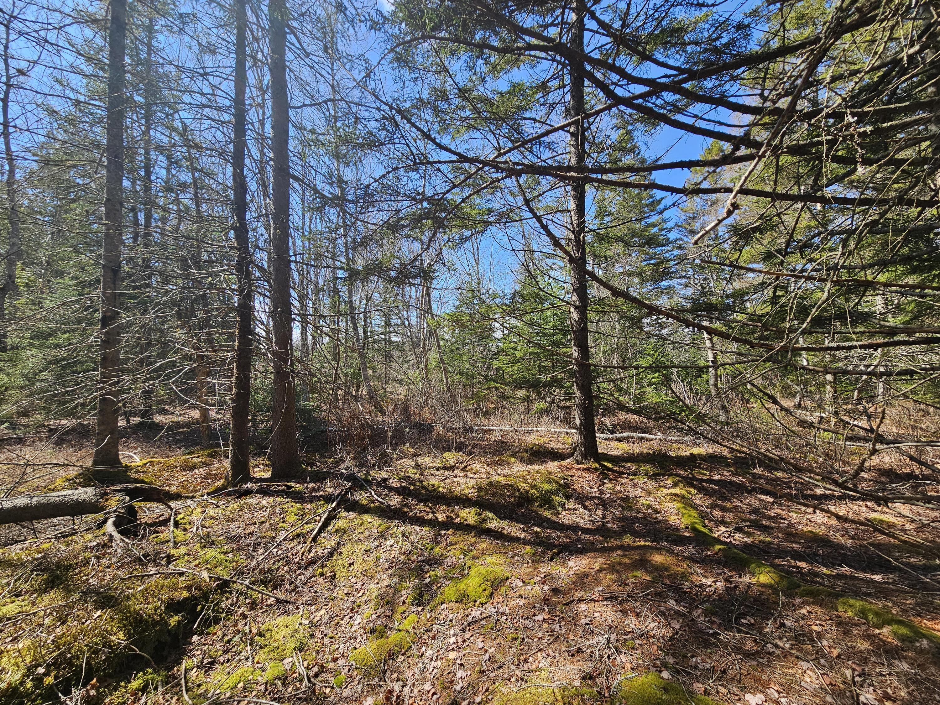83 Willey District Road Harrington ME 04643