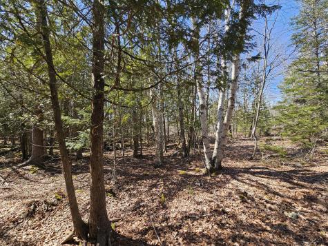 83 Willey District Road Harrington ME 04643