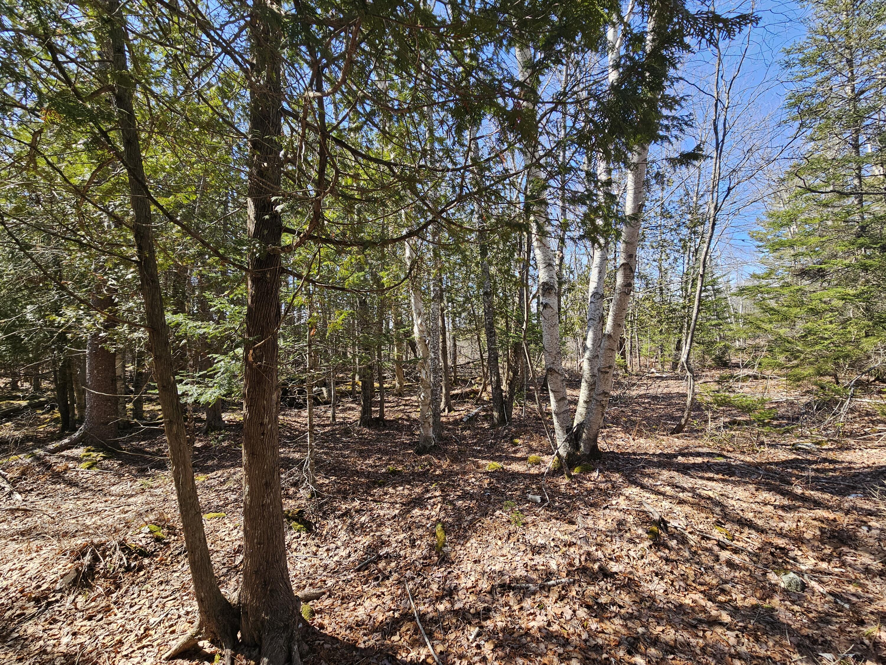 83 Willey District Road Harrington ME 04643