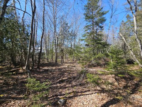 83 Willey District Road Harrington ME 04643