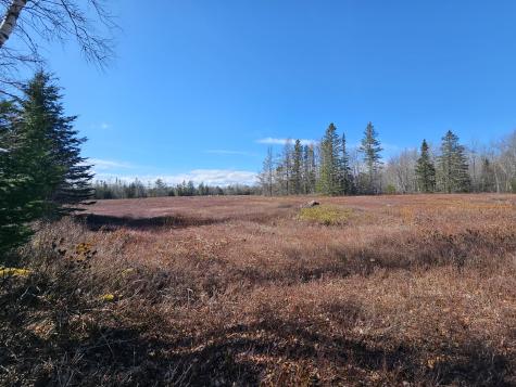 83 Willey District Road Harrington ME 04643