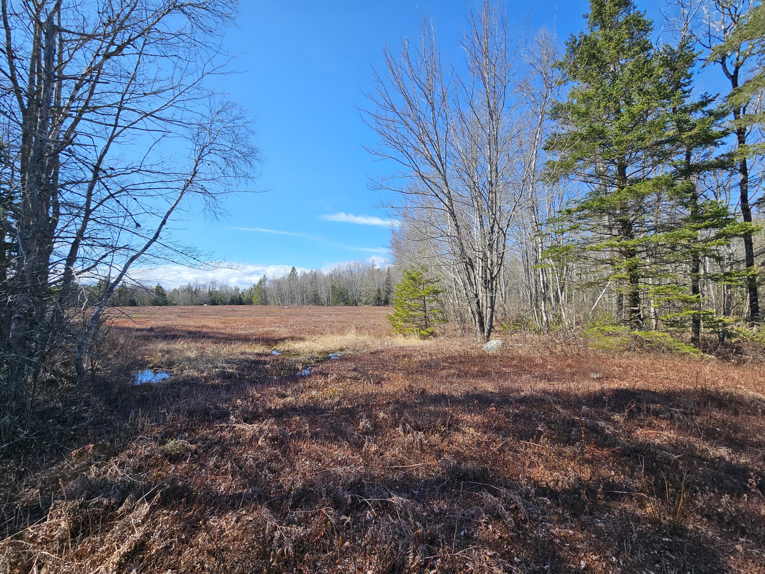 83 Willey District Road Harrington ME 04643