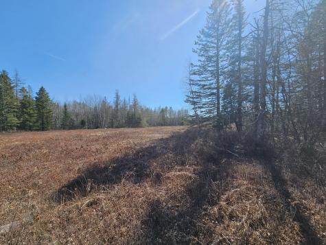 83 Willey District Road Harrington ME 04643