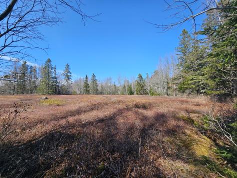 83 Willey District Road Harrington ME 04643