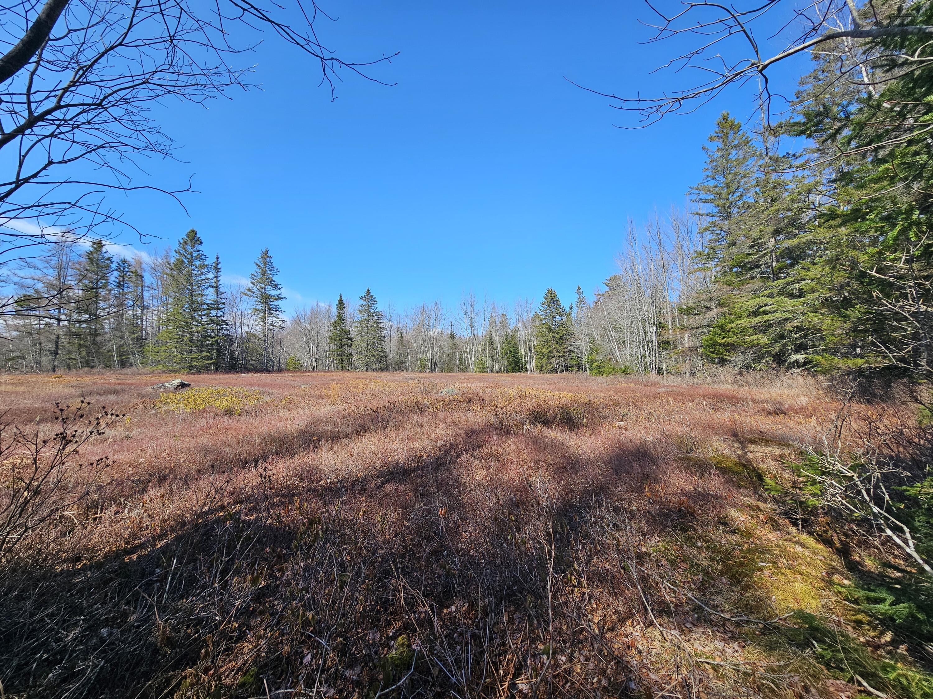 83 Willey District Road Harrington ME 04643