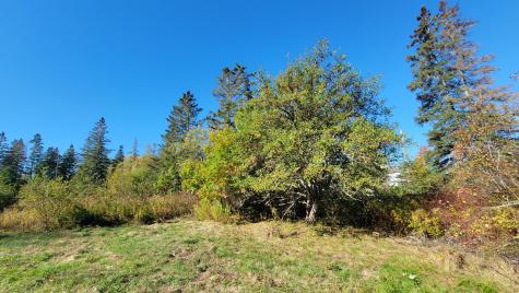 173 Leighton Point Road Pembroke ME 04666