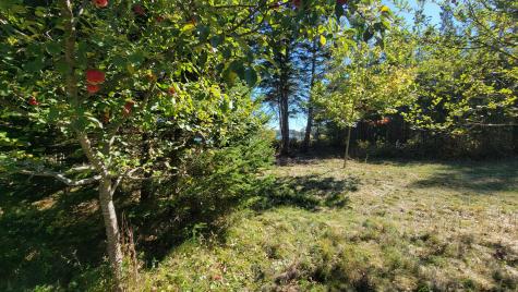 173 Leighton Point Road Pembroke ME 04666