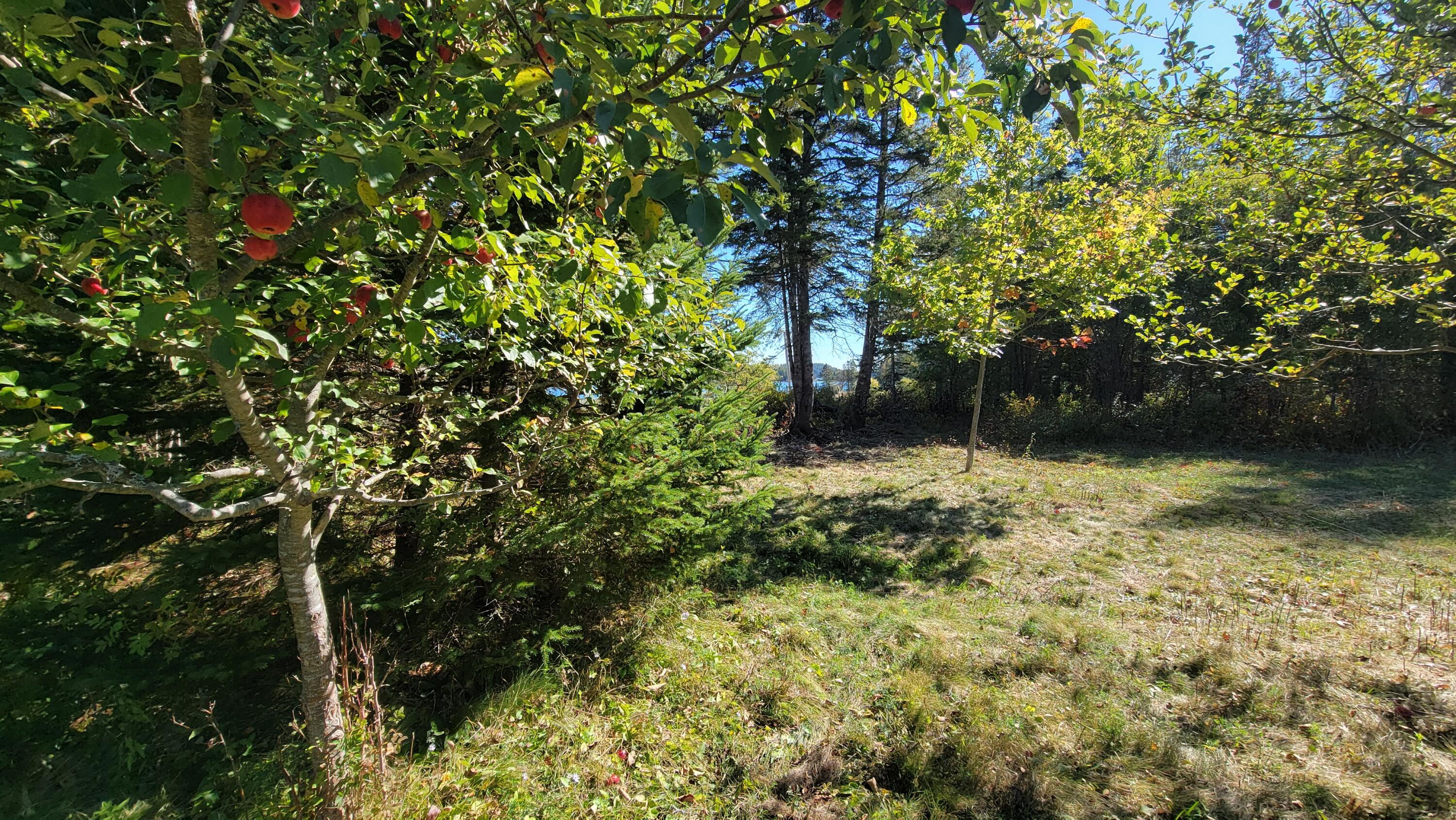 173 Leighton Point Road Pembroke ME 04666