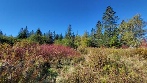 173 Leighton Point Road Pembroke ME 04666