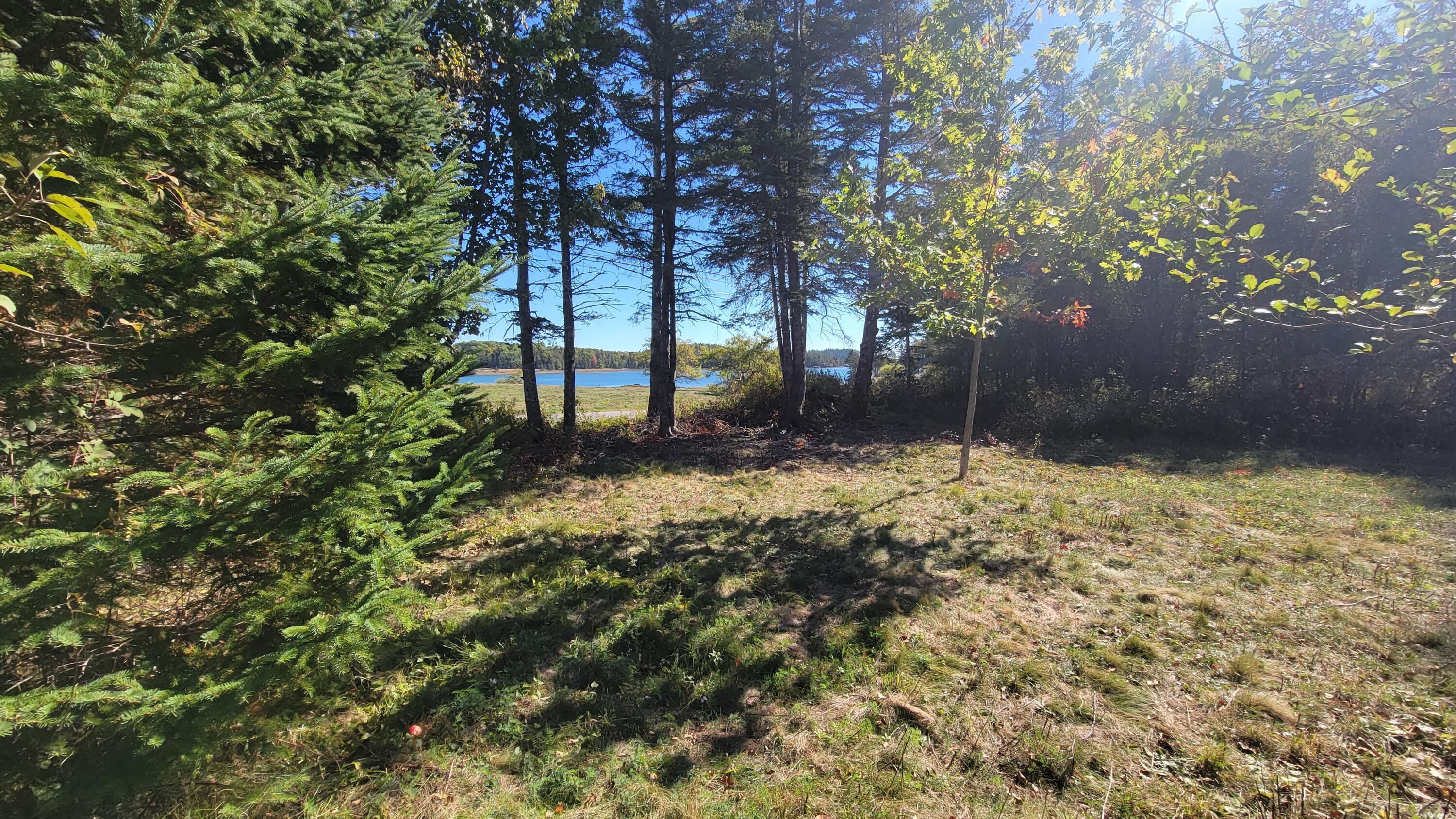 173 Leighton Point Road Pembroke ME 04666