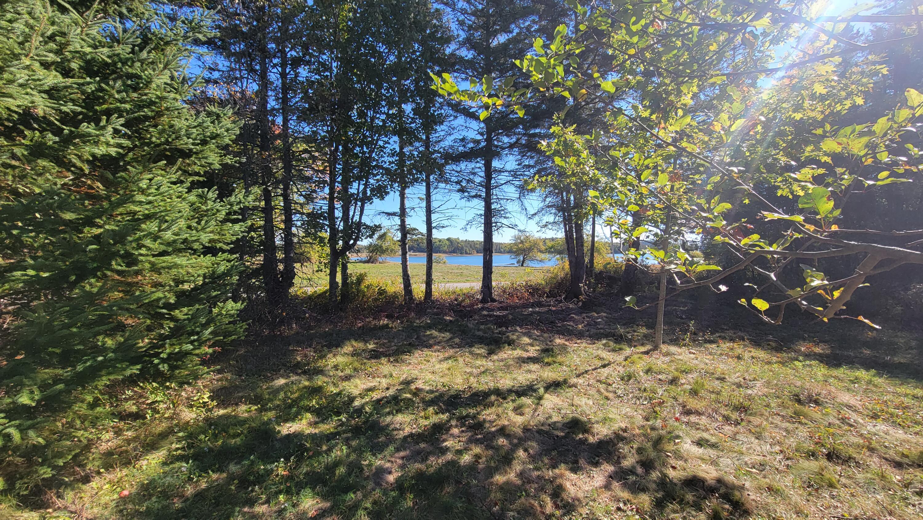 173 Leighton Point Road Pembroke ME 04666